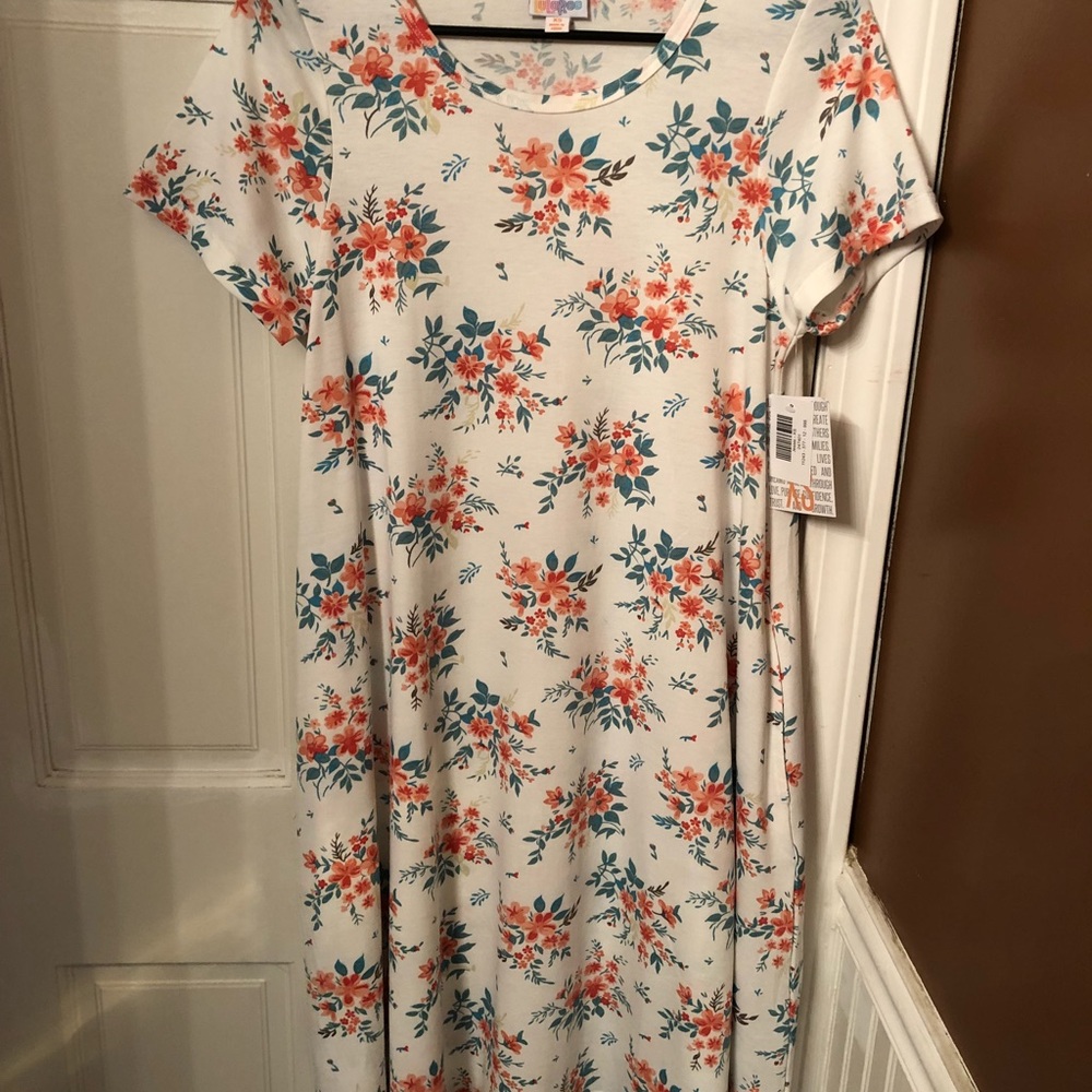 LulaRoe Jessie Dress
